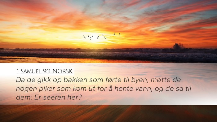 1 Samuel 9:11 NORSK Desktop Wallpaper - Da de gikk op bakken som førte til byen, møtte - Desktop Bible Verse Wallpaper