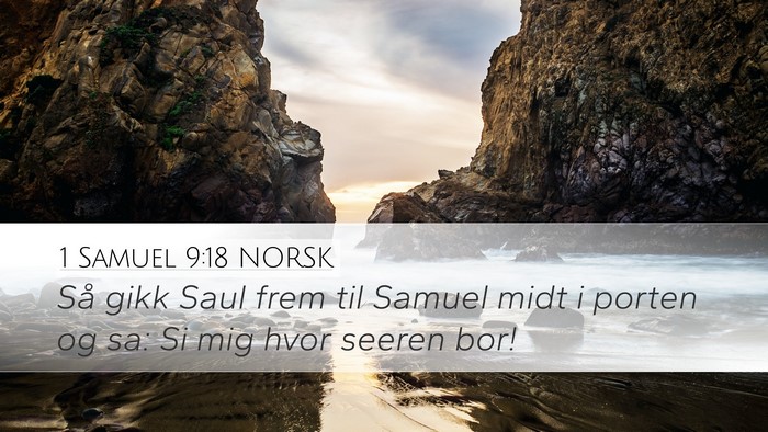 1 Samuel 9:18 NORSK Desktop Wallpaper - Så gikk Saul frem til Samuel midt i porten og - Desktop Bible Verse Wallpaper