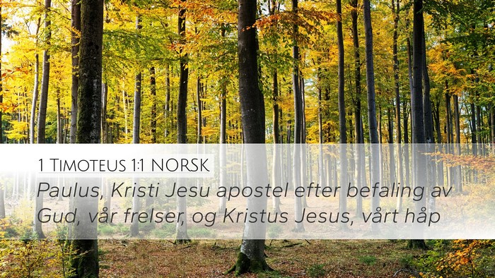 1 Timoteus 1:1 NORSK Bible Verse Image