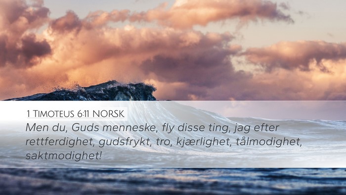 1 Timoteus 6:11 NORSK Bible Verse Image