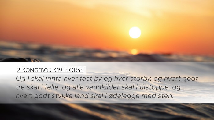 2 Kongebok 3:19 NORSK Desktop Wallpaper - Og I skal innta hver fast by og hver storby, og - Desktop Bible Verse Wallpaper
