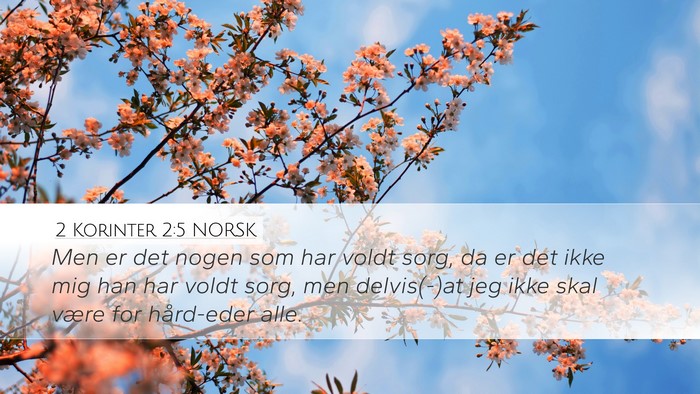 2 Korinter 2:5 NORSK Desktop Wallpaper - Men er det nogen som har voldt sorg, da er det - Desktop Bible Verse Wallpaper