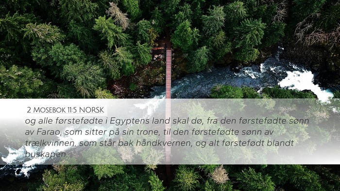 2 Mosebok 11:5 NORSK Bible Verse Image