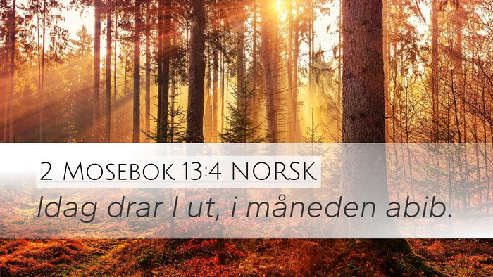 2 Mosebok 13:4 NORSK Bible Verse Image