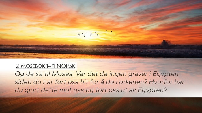 2 Mosebok 14:11 NORSK Bible Verse Image