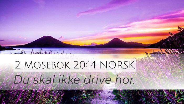 2 Mosebok 20:14 NORSK Bible Verse Image