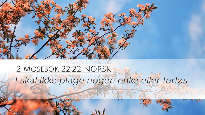 2 Mosebok 22:22 NORSK Bible Verse Image