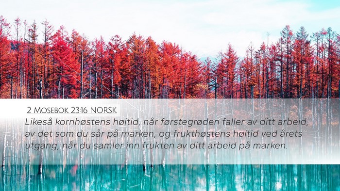 2 Mosebok 23:16 NORSK Bible Verse Image