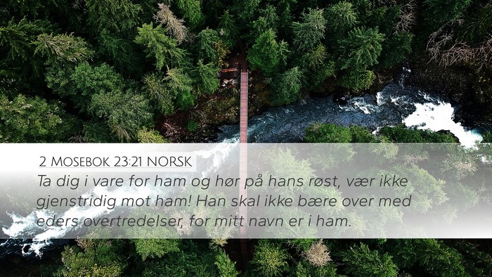 2 Mosebok 23:21 NORSK Bible Verse Image