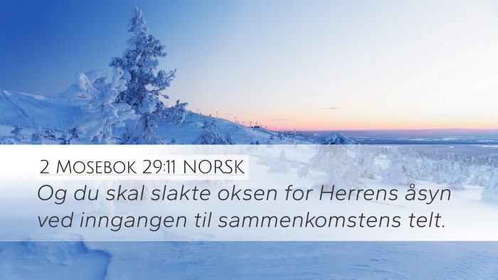 2 Mosebok 29:11 NORSK Bible Verse Image