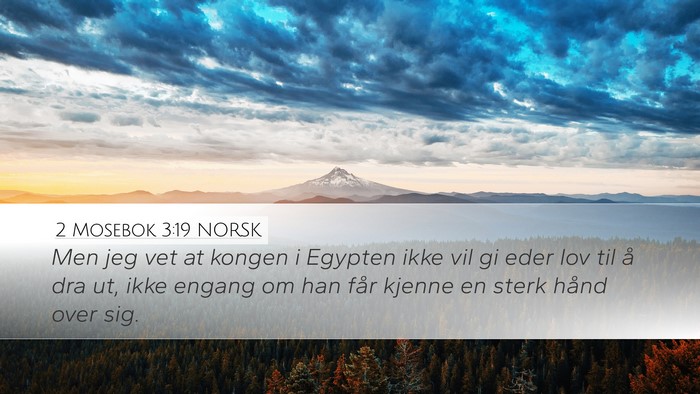 2 Mosebok 3:19 NORSK Bible Verse Image