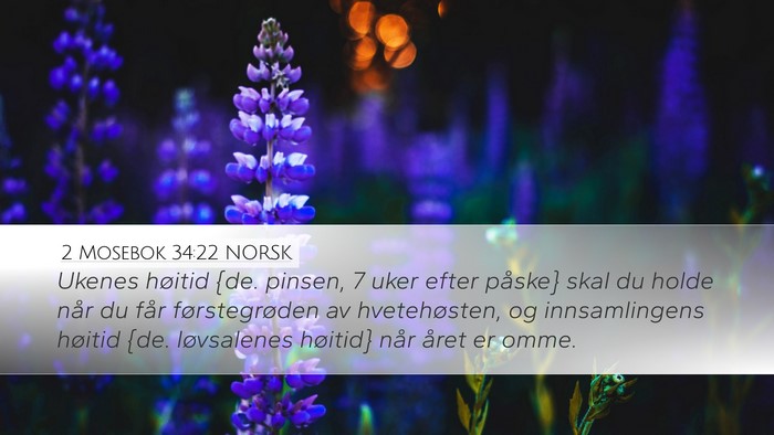 2 Mosebok 34:22 NORSK Bible Verse Image