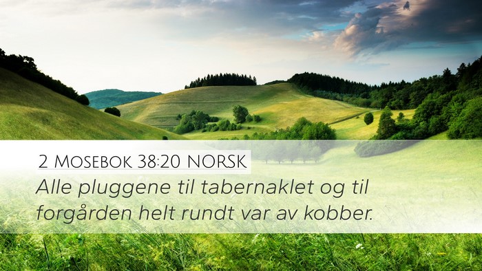 2 Mosebok 38:20 NORSK Bible Verse Image