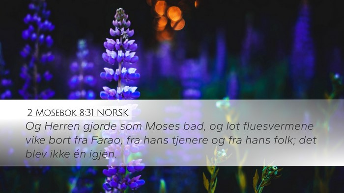 2 Mosebok 8:31 NORSK Desktop Wallpaper - Og Herren gjorde som Moses bad, og lot - Desktop Bible Verse Wallpaper