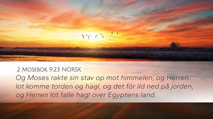 2 Mosebok 9:23 NORSK Bible Verse Image