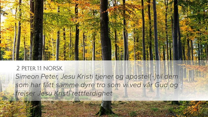 2 Peter 1:1 NORSK Bible Verse Image
