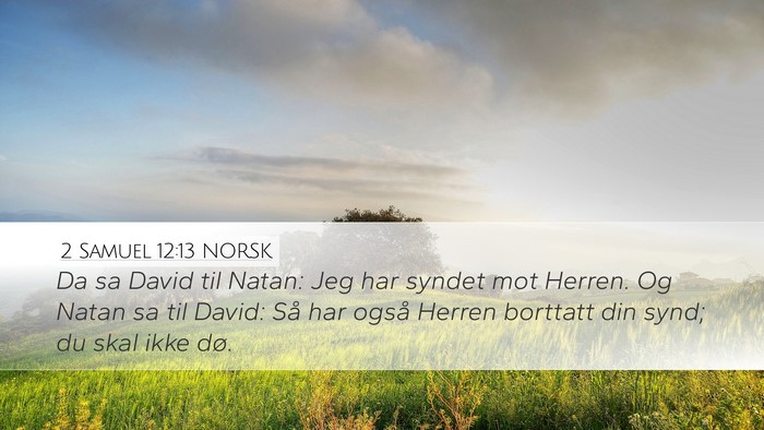 2 Samuel 12:13 NORSK Bible Verse Image
