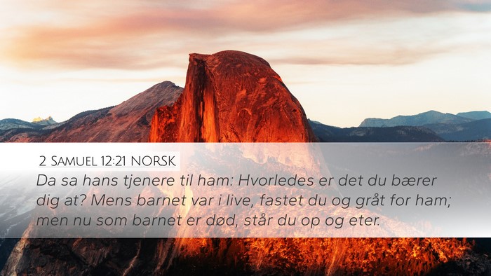 2 Samuel 12:21 NORSK Bible Verse Image