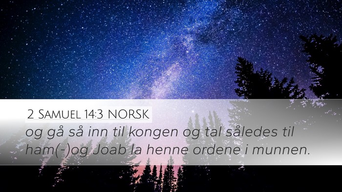 2 Samuel 14:3 NORSK Desktop Wallpaper - og gå så inn til kongen og tal således til - Desktop Bible Verse Wallpaper