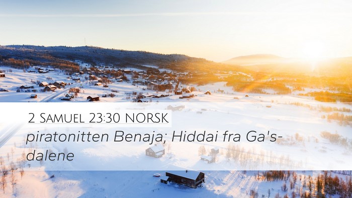 2 Samuel 23:30 NORSK Bible Verse Image