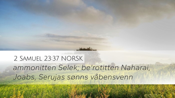2 Samuel 23:37 NORSK Bible Verse Image