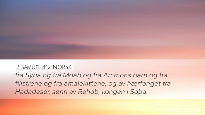 2 Samuel 8:12 NORSK Bible Verse Image