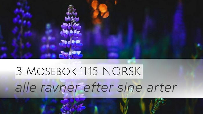 3 Mosebok 11:15 NORSK Desktop Wallpaper - alle ravner efter sine - Desktop Bible Verse Wallpaper