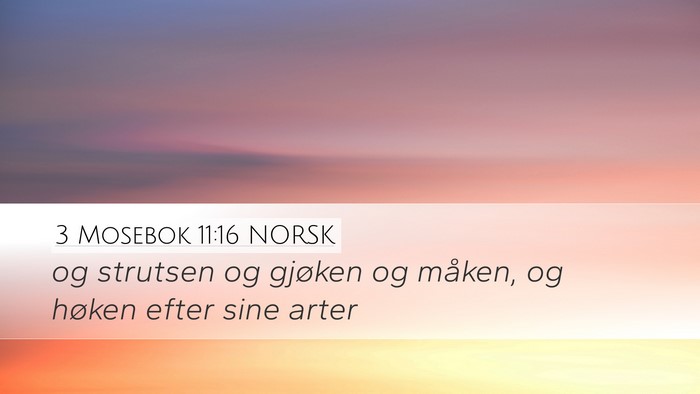 3 Mosebok 11:16 NORSK Desktop Wallpaper - og strutsen og gjøken og måken, og høken efter - Desktop Bible Verse Wallpaper