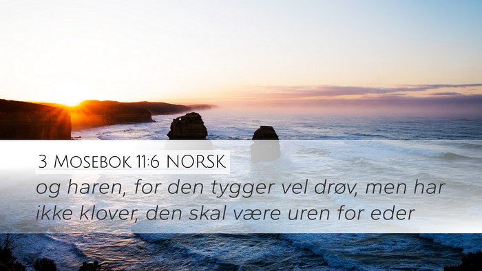3 Mosebok 11:6 NORSK Desktop Wallpaper - og haren, for den tygger vel drøv, men har ikke - Desktop Bible Verse Wallpaper