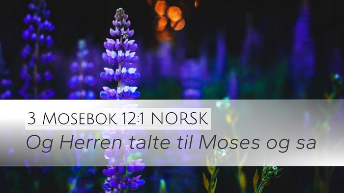 3 Mosebok 12:1 NORSK Bible Verse Image