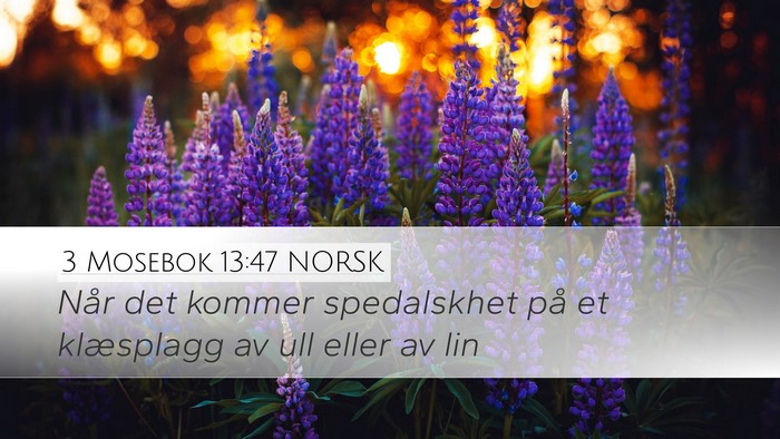 3 Mosebok 13:47 NORSK Desktop Wallpaper - Når det kommer spedalskhet på et klæsplagg av - Desktop Bible Verse Wallpaper