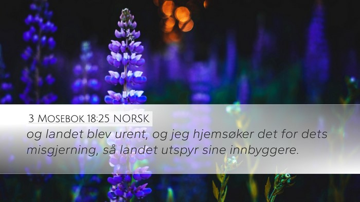3 Mosebok 18:25 NORSK Bible Verse Image