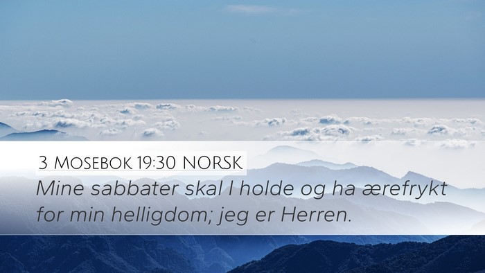 3 Mosebok 19:30 NORSK Bible Verse Image