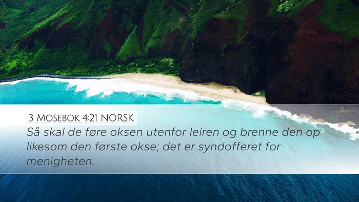3 Mosebok 4:21 NORSK Bible Verse Image