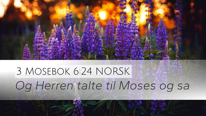 3 Mosebok 6:24 NORSK Bible Verse Image
