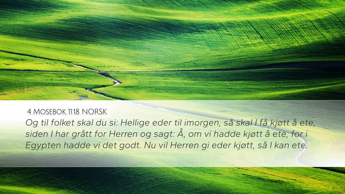 4 Mosebok 11:18 NORSK Desktop Wallpaper - Og til folket skal du si: Hellige eder til - Desktop Bible Verse Wallpaper