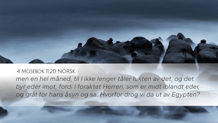4 Mosebok 11:20 NORSK Desktop Wallpaper - men en hel måned, til I ikke lenger tåler - Desktop Bible Verse Wallpaper