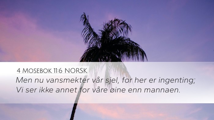 4 Mosebok 11:6 NORSK Desktop Wallpaper - Men nu vansmekter vår sjel, for her er - Desktop Bible Verse Wallpaper