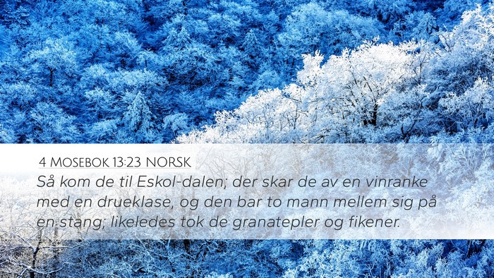 4 Mosebok 13:23 NORSK Desktop Wallpaper - Så kom de til Eskol-dalen; der skar de av en - Desktop Bible Verse Wallpaper