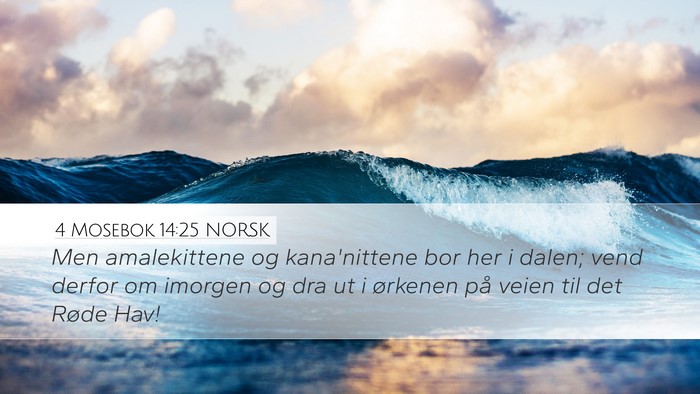 4 Mosebok 14:25 NORSK Bible Verse Image