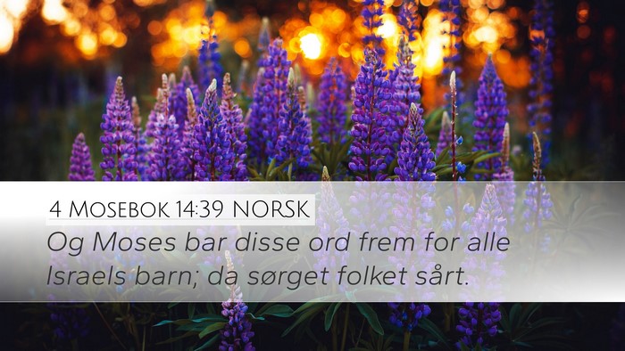 4 Mosebok 14:39 NORSK Desktop Wallpaper - Og Moses bar disse ord frem for alle Israels - Desktop Bible Verse Wallpaper