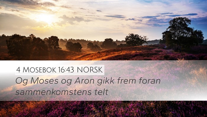 4 Mosebok 16:43 NORSK Desktop Wallpaper - Og Moses og Aron gikk frem foran sammenkomstens - Desktop Bible Verse Wallpaper