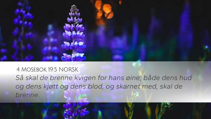4 Mosebok 19:5 NORSK Desktop Wallpaper - Så skal de brenne kvigen for hans øine; både - Desktop Bible Verse Wallpaper