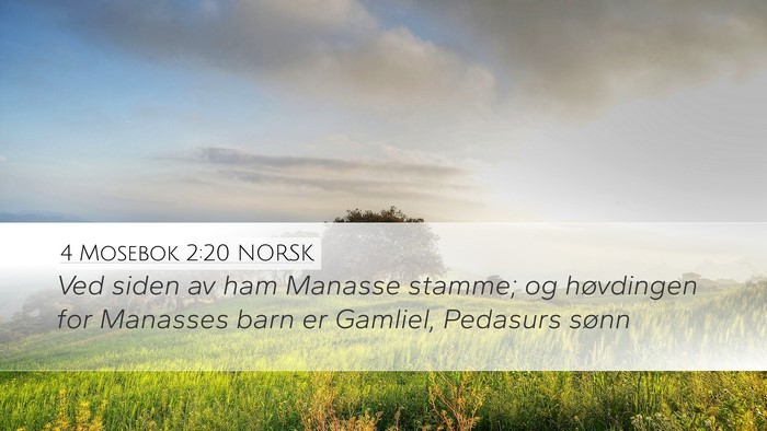 4 Mosebok 2:20 NORSK Bible Verse Image