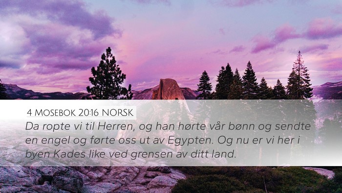 4 Mosebok 20:16 NORSK Bible Verse Image