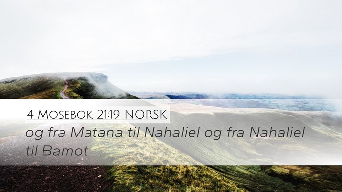 4 Mosebok 21:19 NORSK Bible Verse Image