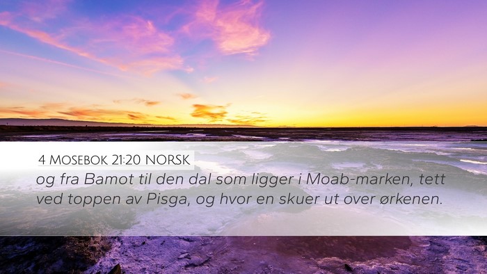 4 Mosebok 21:20 NORSK Bible Verse Image
