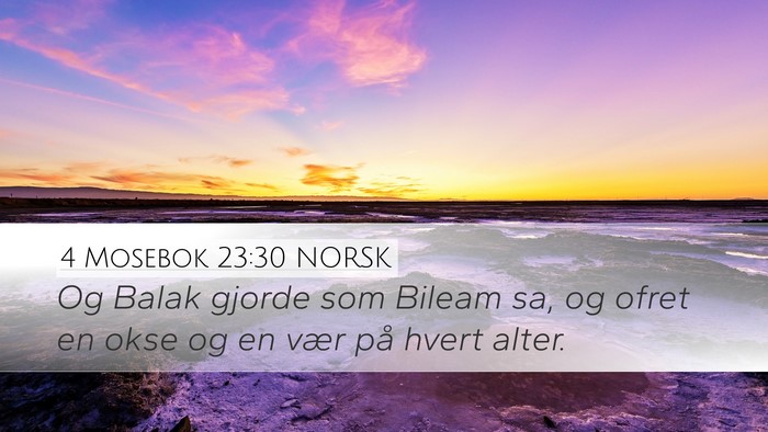 4 Mosebok 23:30 NORSK Bible Verse Image