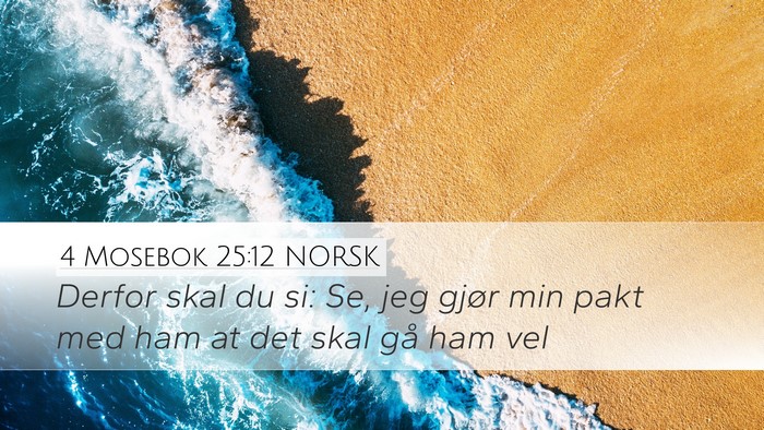 4 Mosebok 25:12 NORSK Desktop Wallpaper - Derfor skal du si: Se, jeg gjør min pakt med ham - Desktop Bible Verse Wallpaper