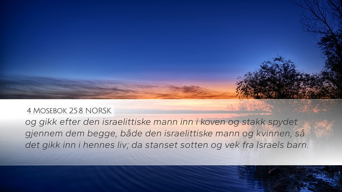 4 Mosebok 25:8 NORSK Bible Verse Image